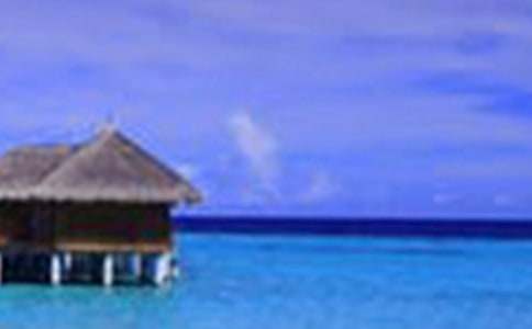 精選鄉(xiāng)村美景小學(xué)作文300字10篇