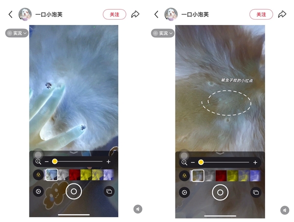 網(wǎng)友發(fā)現(xiàn)iPhone能檢查蟲子 蘋果回應(yīng)：放大器無此功能