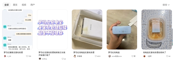 網(wǎng)友被羅馬仕客服騙了:無害化處理后僅補償5元