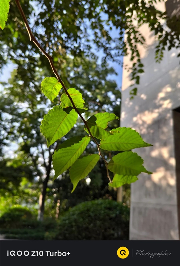 超大電池+旗艦性能=2199 iQOO新機(jī)把錢(qián)花在了刀刃上