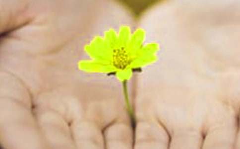 寫給孩子的道歉信