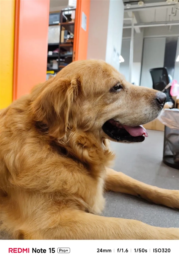 不追求極致性能 紅米還是好紅米嗎