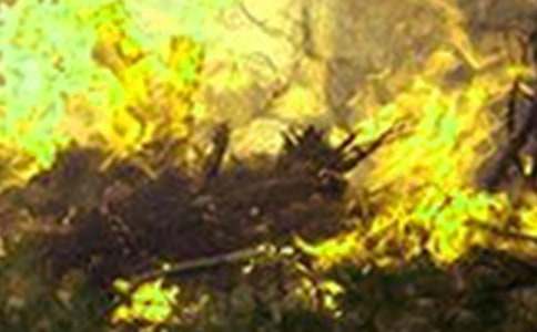 學(xué)會生存作文：遠(yuǎn)離火災(zāi)，珍愛生命