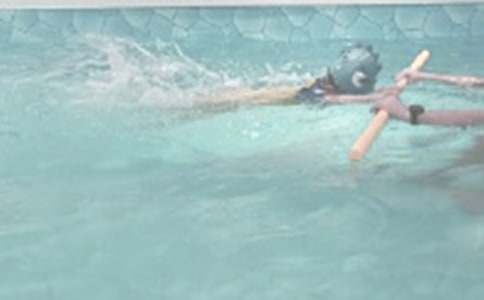 學游泳作文300字(通用27篇)