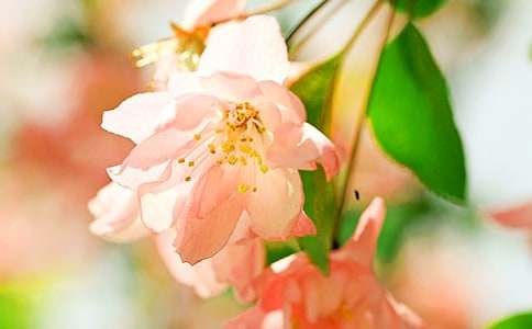 小學生大魚海棠觀后感(通用20篇)