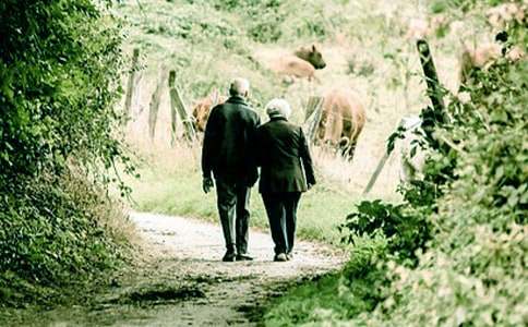 爺爺病了小學(xué)作文（精選38篇）