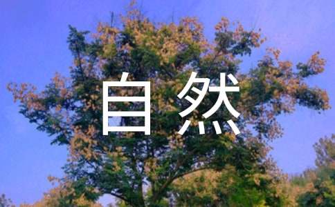 感受自然之美七年級(jí)作文600字