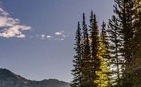 關(guān)于一風(fēng)景優(yōu)美的地方的作文