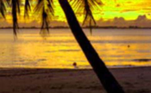 [優(yōu)秀]關(guān)于假期生活作文