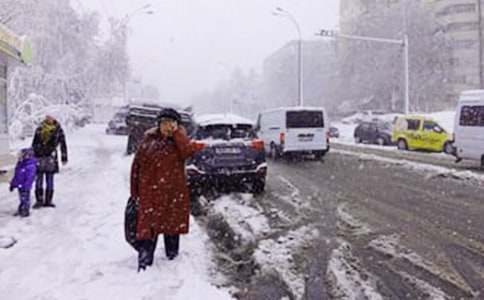 下雪了的看圖寫話作文必備[15篇]