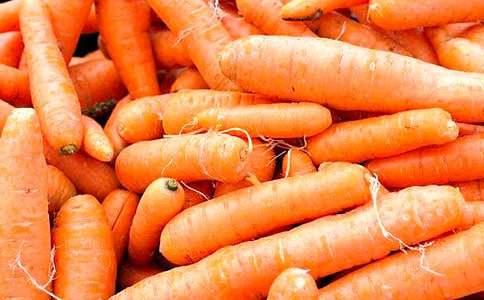 胡蘿卜先生的長胡子續(xù)寫[匯總15篇]