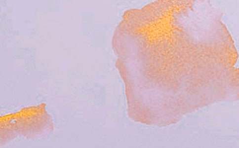 身邊的藝術作文集錦【15篇】